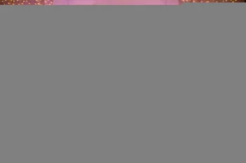 Debutantes Dorenses 2018 - Coquetel