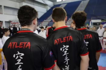 Copa Dores de Karatê