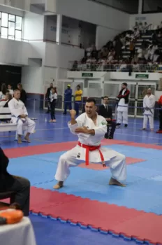 Copa Dores de Karatê