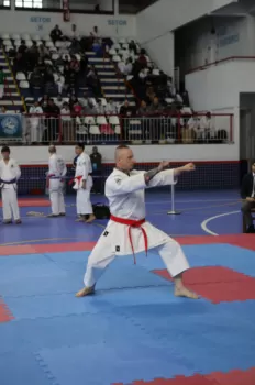 Copa Dores de Karatê