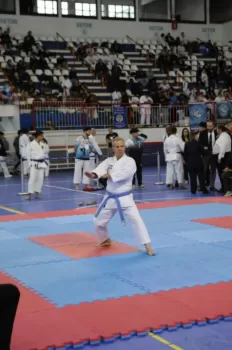 Copa Dores de Karatê