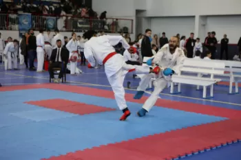 Copa Dores de Karatê