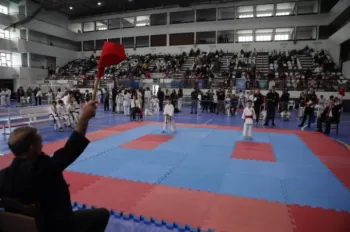 Copa Dores de Karatê