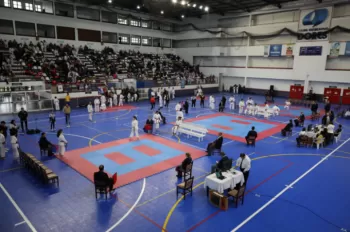 Copa Dores de Karatê