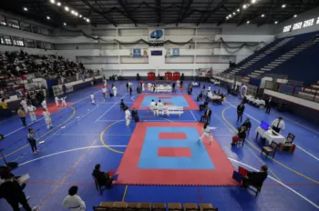 Copa Dores de Karatê