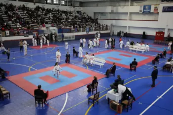 Copa Dores de Karatê