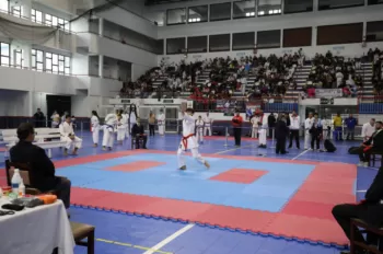 Copa Dores de Karatê