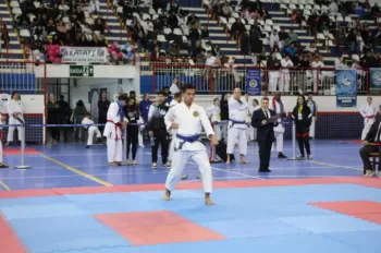 Copa Dores de Karatê