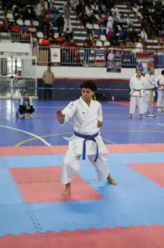 Copa Dores de Karatê