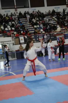 Copa Dores de Karatê
