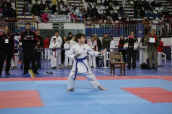 Copa Dores de Karatê
