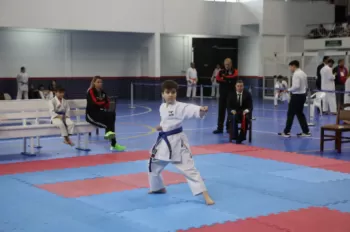 Copa Dores de Karatê