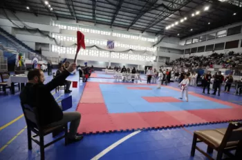 Copa Dores de Karatê