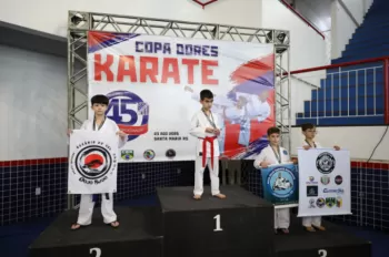 Copa Dores de Karatê