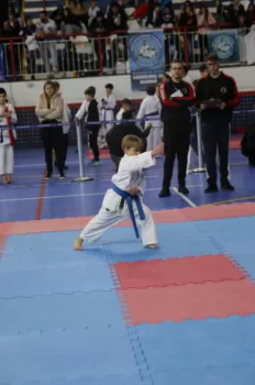 Copa Dores de Karatê