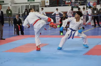 Copa Dores de Karatê