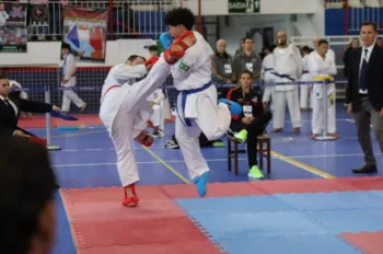 Copa Dores de Karatê
