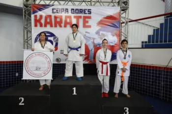 Copa Dores de Karatê