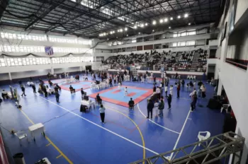 Copa Dores de Karatê
