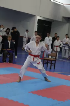 Copa Dores de Karatê