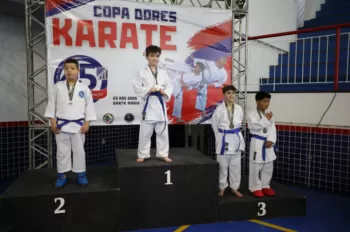 Copa Dores de Karatê