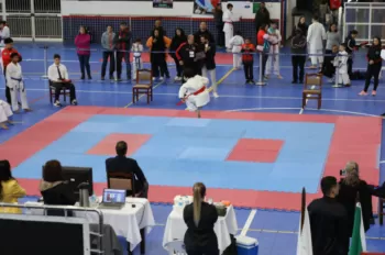Copa Dores de Karatê