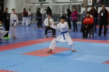 Copa Dores de Karatê