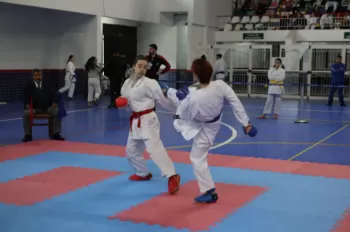 Copa Dores de Karatê