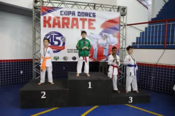 Copa Dores de Karatê