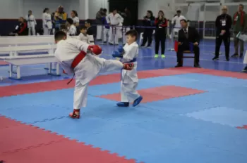 Copa Dores de Karatê