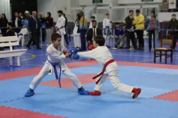 Copa Dores de Karatê