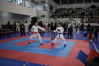 Copa Dores de Karatê