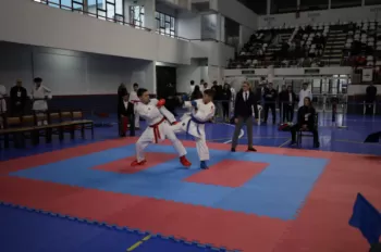 Copa Dores de Karatê