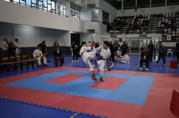 Copa Dores de Karatê