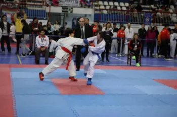 Copa Dores de Karatê