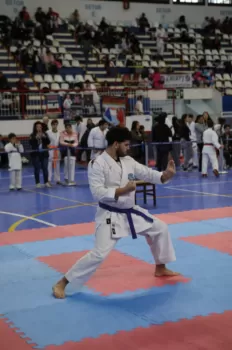 Copa Dores de Karatê