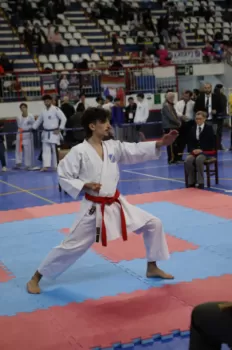 Copa Dores de Karatê
