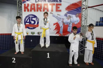 Copa Dores de Karatê
