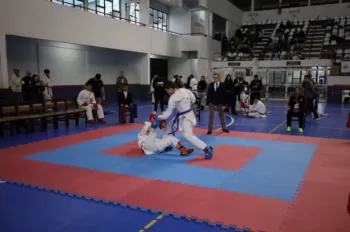 Copa Dores de Karatê