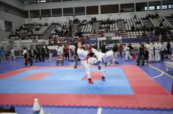 Copa Dores de Karatê