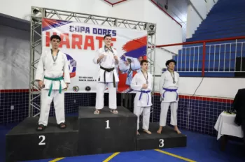 Copa Dores de Karatê