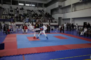 Copa Dores de Karatê