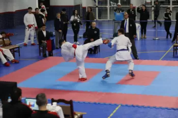 Copa Dores de Karatê