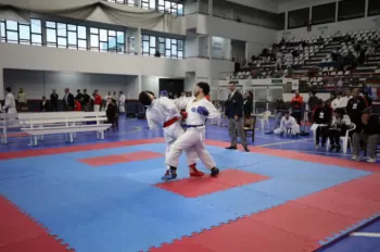 Copa Dores de Karatê