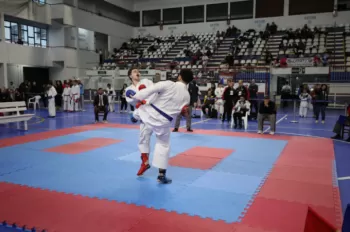 Copa Dores de Karatê