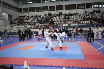 Copa Dores de Karatê