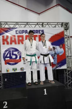 Copa Dores de Karatê