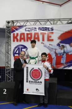 Copa Dores de Karatê