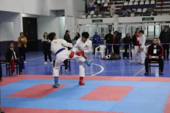 Copa Dores de Karatê