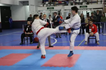 Copa Dores de Karatê